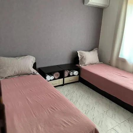 николета *